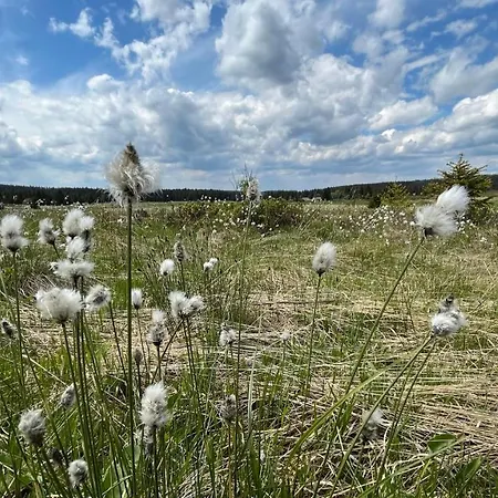 Natura Klinovec Apartment Loucna pod Klinovcem