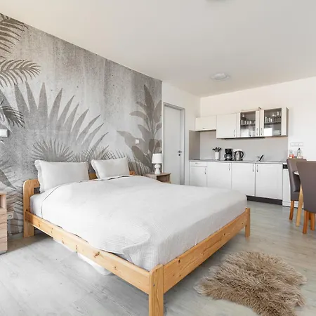 Natura Klinovec Apartment